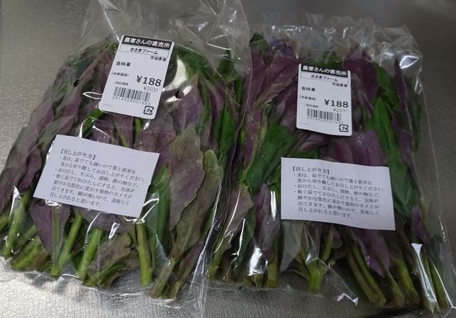 金時草